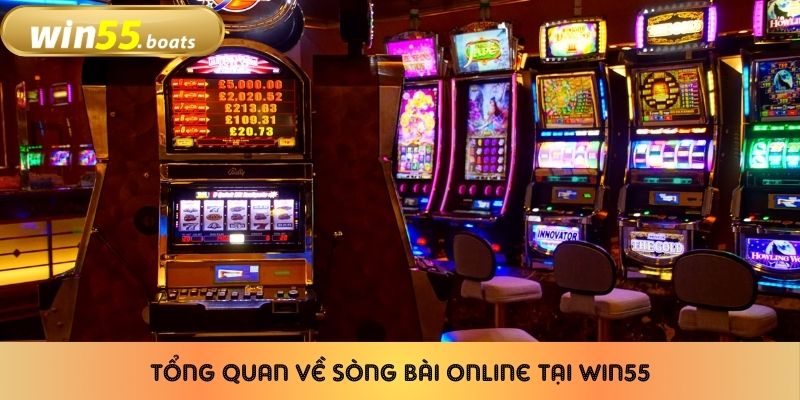 Tổng quan về sòng bài online tại Win55